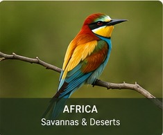 AI-generated bee-eater in Africa