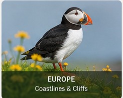AI-generated puffin on a coastal cliff