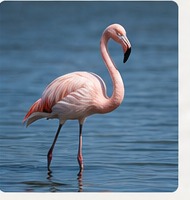 AI-generated flamingo