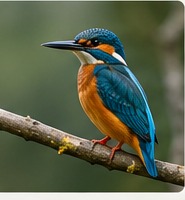 AI-generated kingfisher